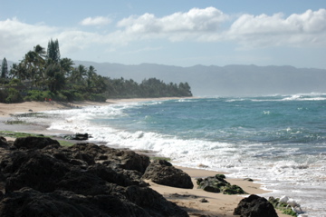 f0111031_10552823.jpg