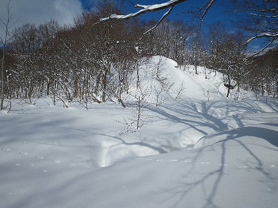 f0118332_23165137.jpg