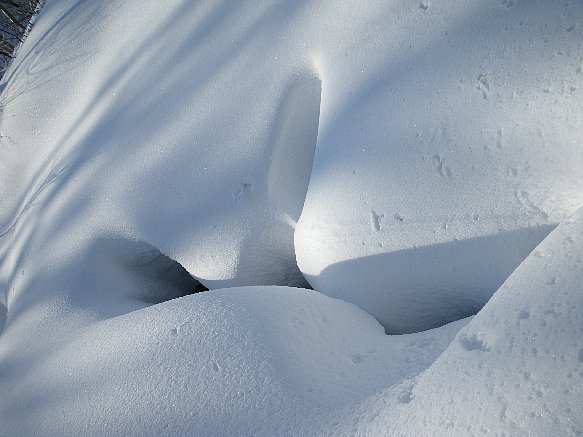 f0118332_23172874.jpg