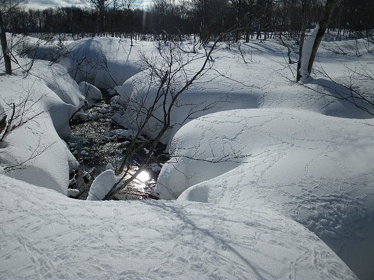 f0118332_23241069.jpg