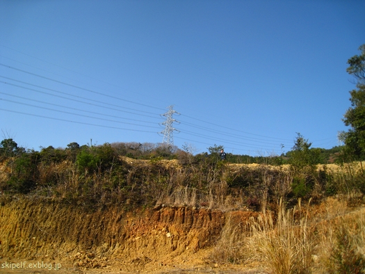 c0134734_1274358.jpg