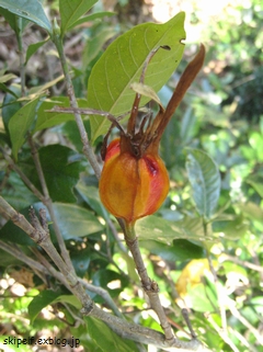 c0134734_127475.jpg