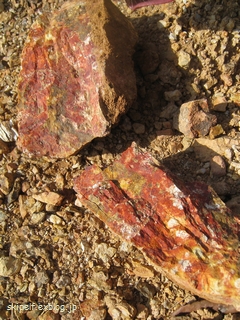 c0134734_1282726.jpg