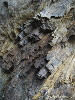 c0134734_129261.jpg