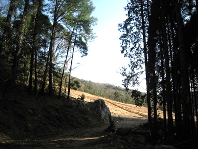 c0134734_1294353.jpg