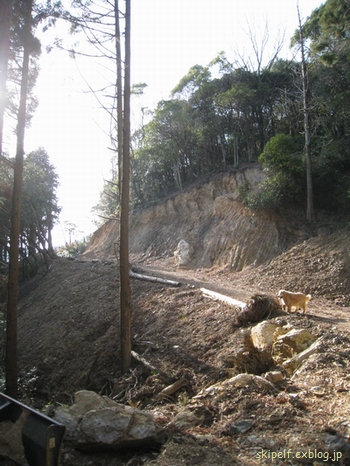 c0134734_130985.jpg