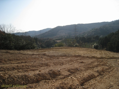 c0134734_153599.jpg
