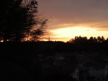f0200036_10145749.jpg