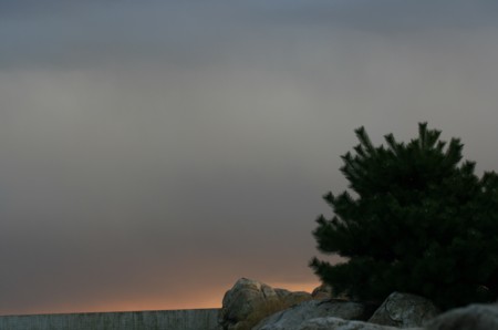 e0156038_17454556.jpg