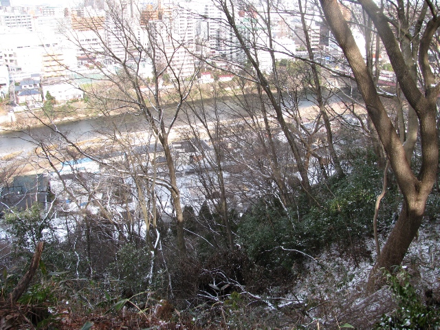 e0150843_0092.jpg