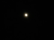 c0153444_840113.jpg