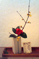 e0189044_21431395.jpg