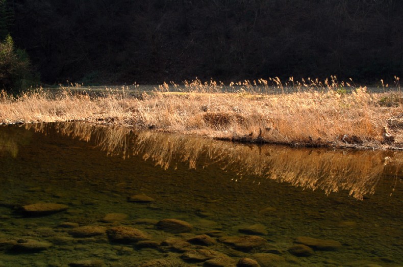 e0009147_21271232.jpg