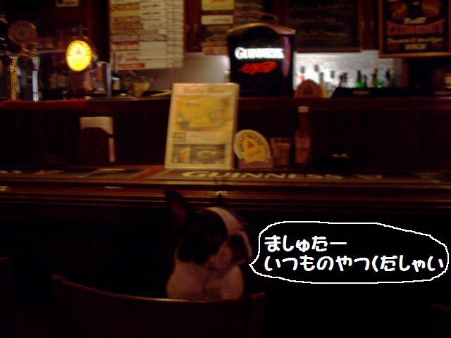 e0098547_16263441.jpg