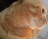 c0029148_2345528.jpg