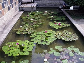f0009451_13271553.jpg