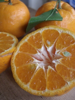 f0009451_2155509.jpg