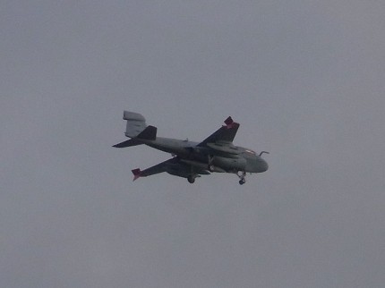 f0048860_256572.jpg