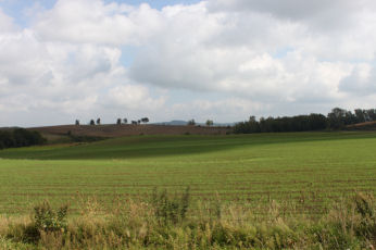 e0129961_16322345.jpg