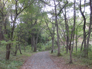 c0186663_1326384.jpg
