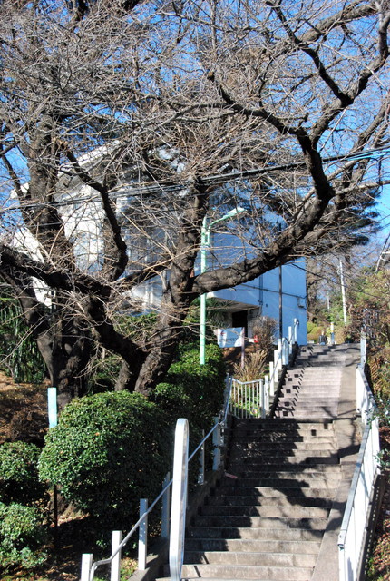b0174068_2331228.jpg