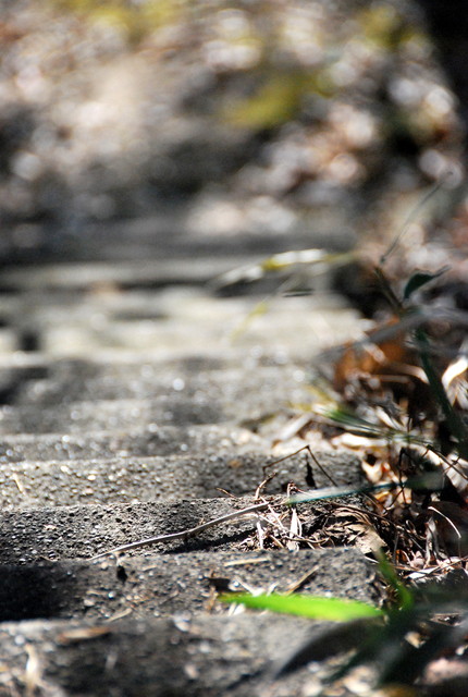 b0174068_23323721.jpg