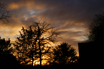 d0141376_0241011.jpg