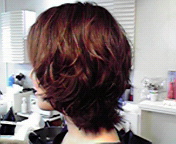 b0005683_1228358.jpg