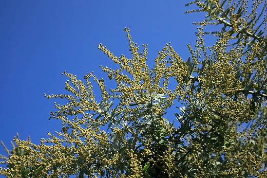 e0190885_19261663.jpg