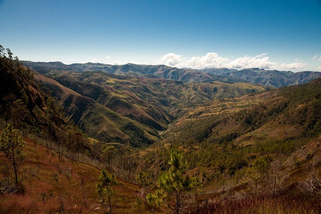 e0158188_6235892.jpg