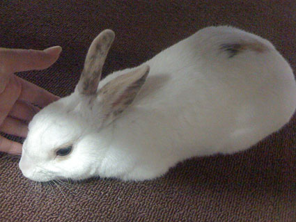f0201191_22491067.jpg