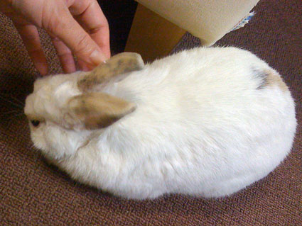 f0201191_3404840.jpg