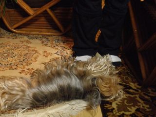 f0130894_22141276.jpg