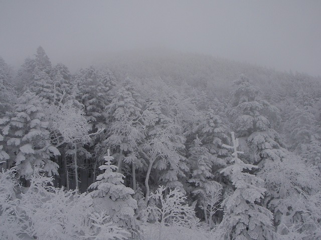 c0147398_2331856.jpg