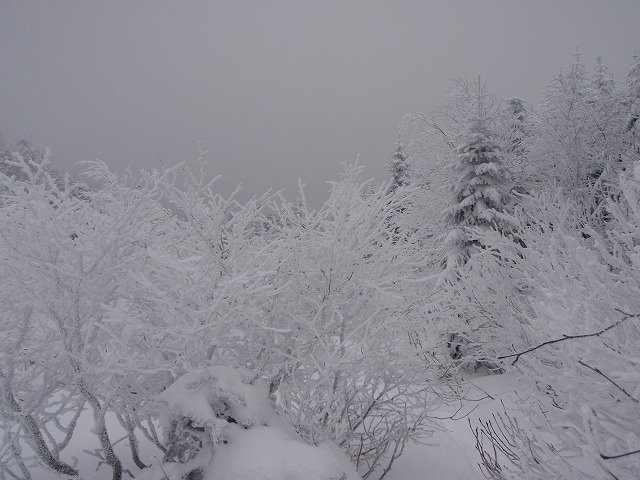 c0147398_233815.jpg