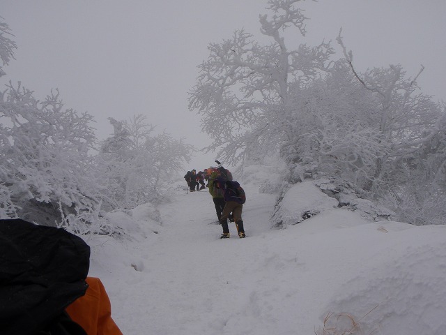 c0147398_2343295.jpg