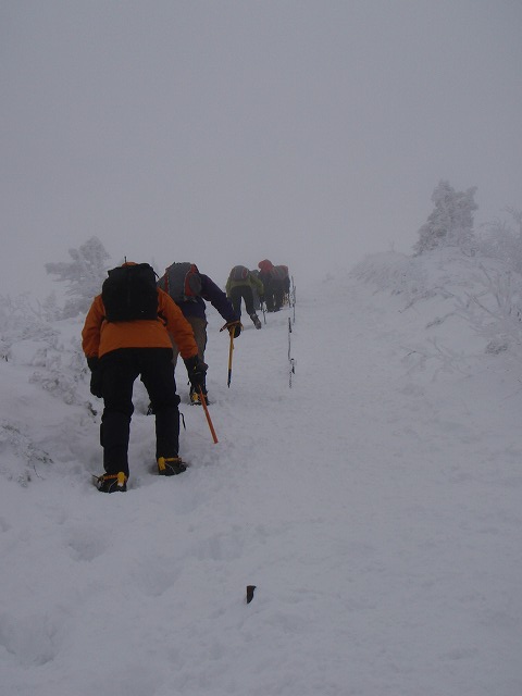 c0147398_2344628.jpg