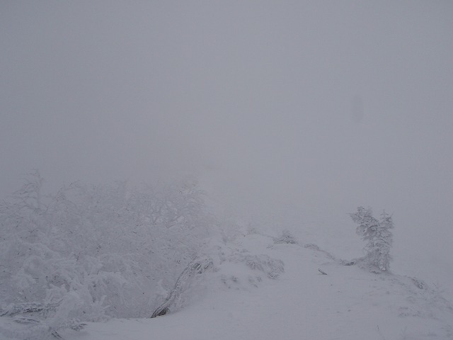 c0147398_234565.jpg