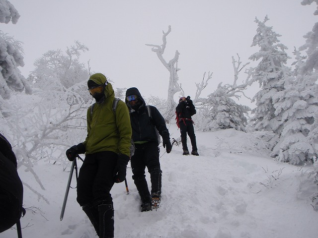 c0147398_2361287.jpg