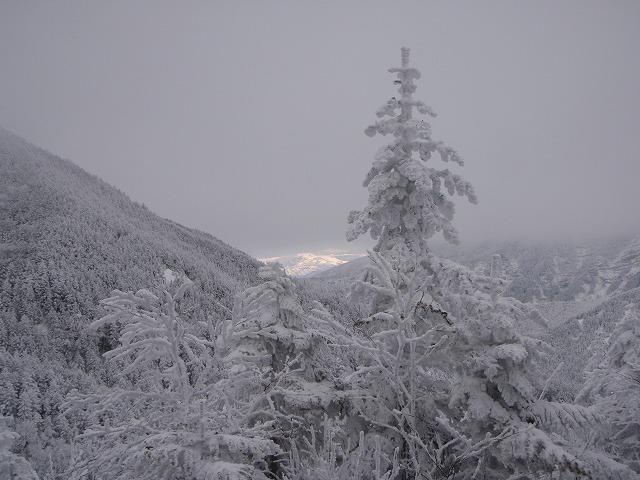 c0147398_2362221.jpg