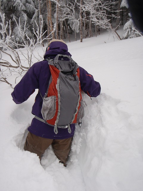 c0147398_2364271.jpg