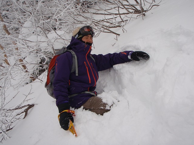 c0147398_2365056.jpg
