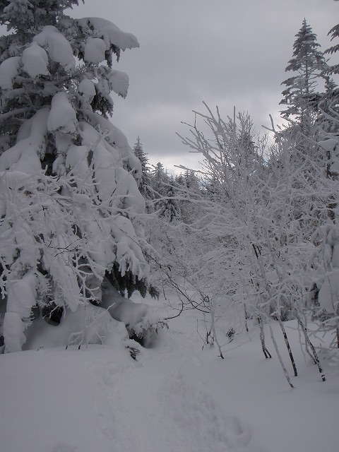 c0147398_2375283.jpg