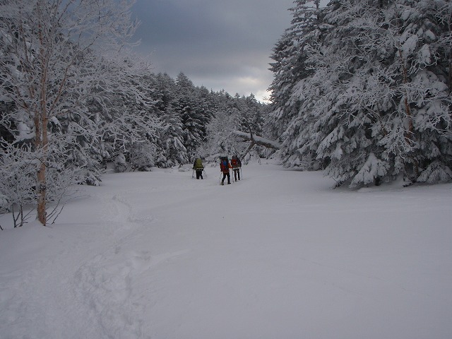c0147398_2381072.jpg