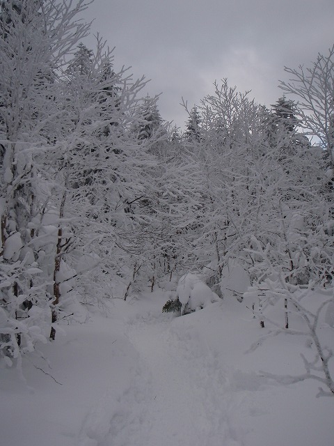 c0147398_238155.jpg
