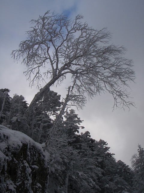 c0147398_2384229.jpg