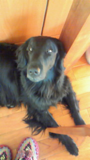 c0050400_1111875.jpg