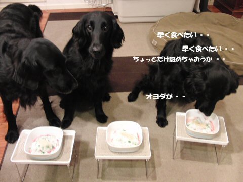 c0050400_17281751.jpg
