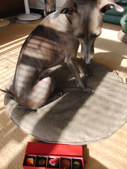 e0141909_10503083.jpg