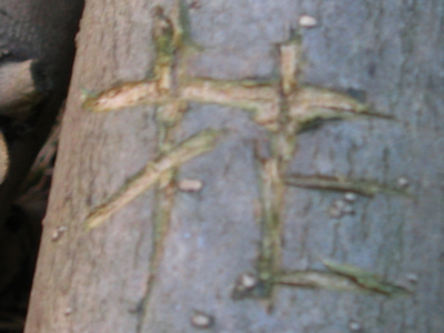 c0219815_21573536.jpg